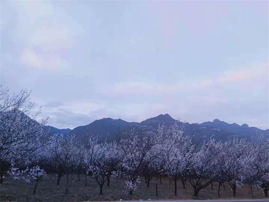 北京延庆玉渡山张宽农家院,特色水库鱼泡饼和水豆腐叫人流连忘返
