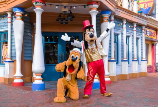 上海迪士尼度假区一日游（单接送）【私人小团包车】