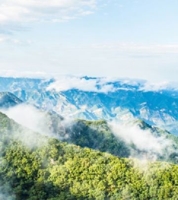 肥城游记图文-优美传说，壮阔云海，云蒙山一次满足你