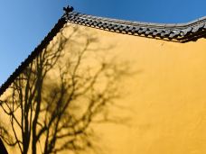 上禅堂-青阳-ColinP