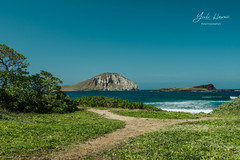 美国游记图片] 夏威夷旅行｜欧胡岛最东端的海滩公园 Makapuu Beach Park