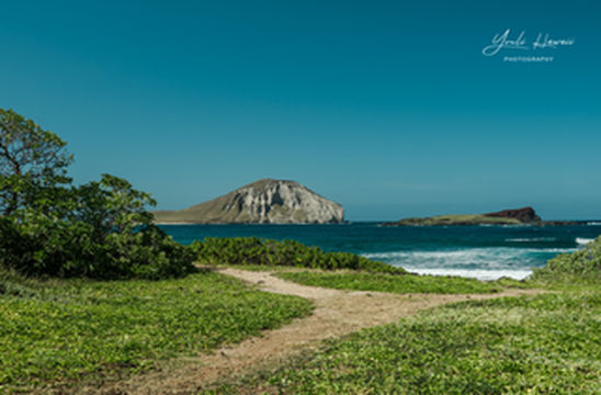 夏威夷旅行｜欧胡岛最东端的海滩公园 Makapuu Beach Park