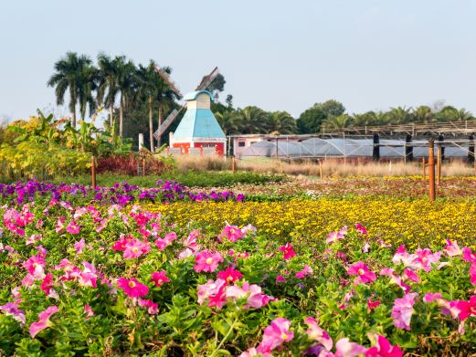 南宁市花卉公园