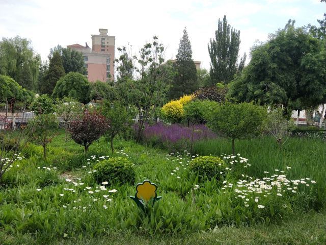 宣化人民公园旅行图片 6