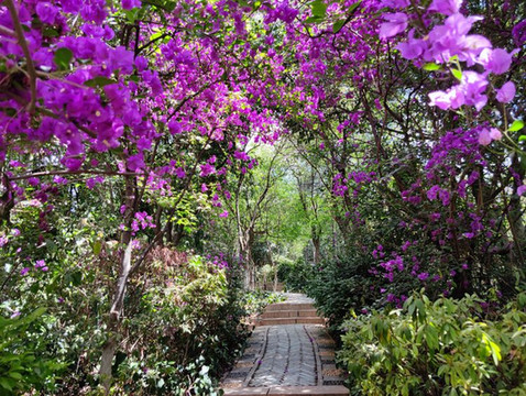 赏花、休闲，学习历史、缅怀先贤，去昆明莲花池公园有新内容了