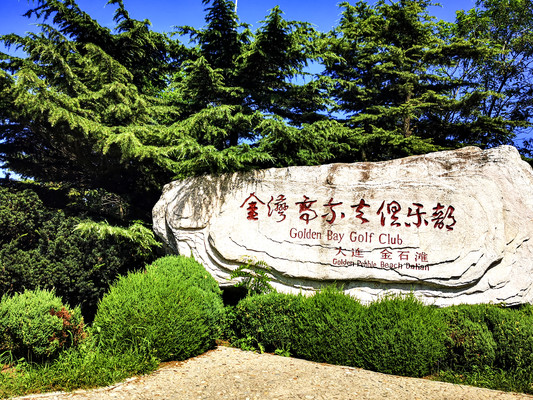 金石滩高尔夫俱乐部里的心悦岛紫色马鞭草