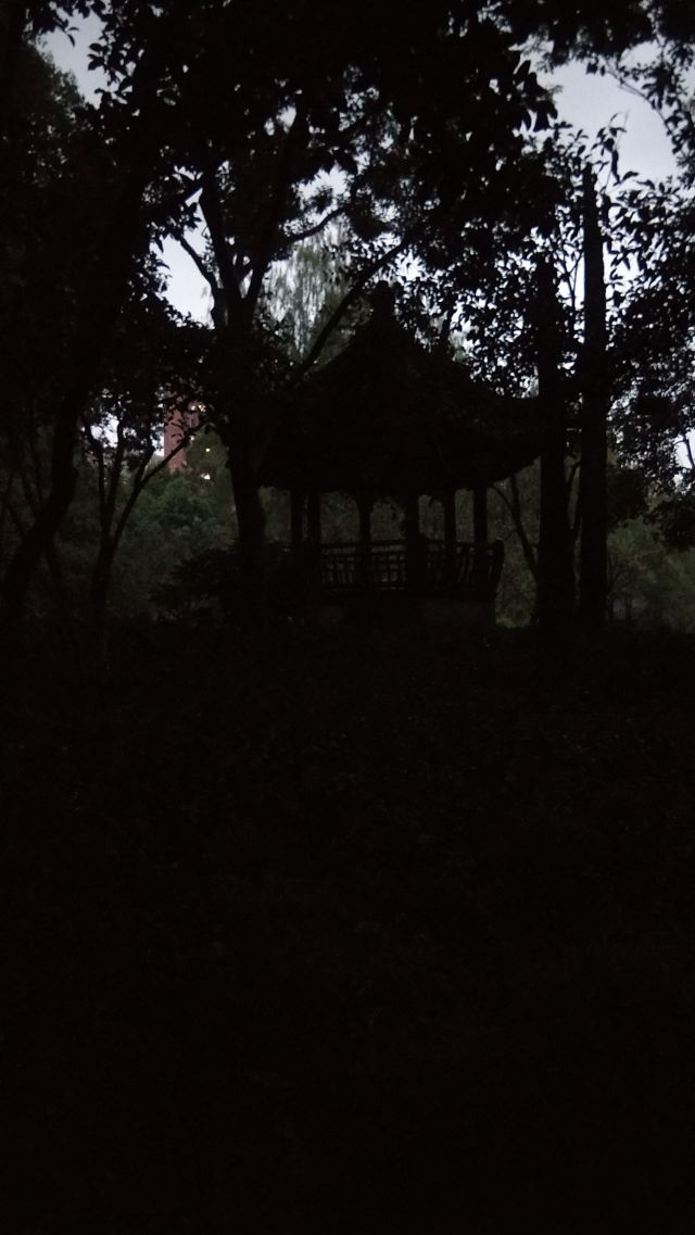 漕溪公园旅行图片 4