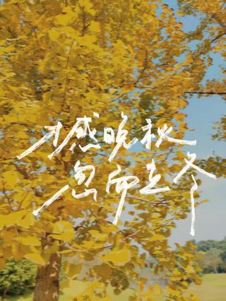 才感晚秋 忽而立冬