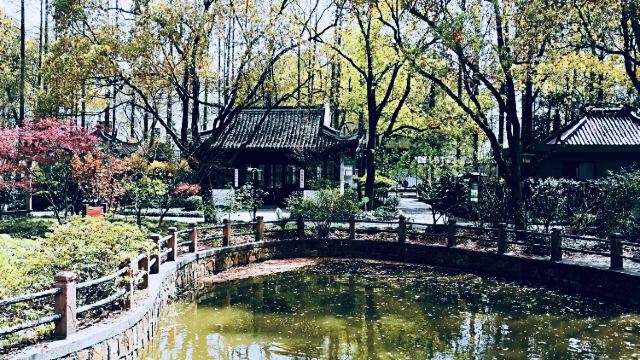 上海亭林遗址公园旅行图片 1