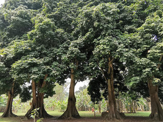 2021年彩云之南全境自驾游日记之二