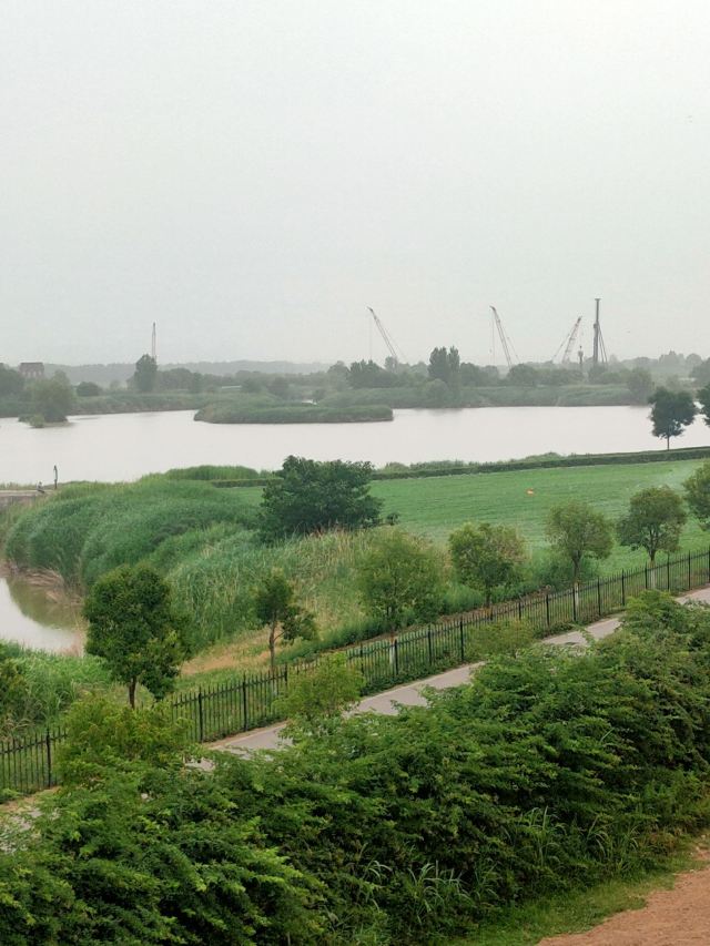 灞渭生态滩区旅行图片 8