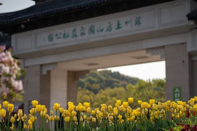 苏州上方山国家森林公园
