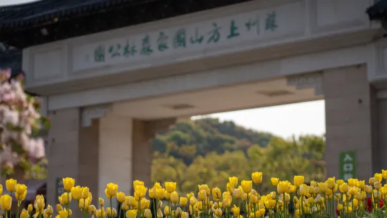 蘇州上方山國家森林公園