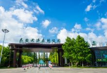 黄海森林公园景点图片