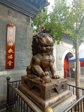2022金秋北京之广济寺