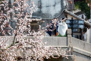 漫游吴江，舟过水乡，邂逅东太湖的春日柔情