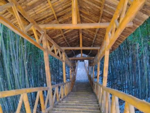 云顶自然风景旅游区
