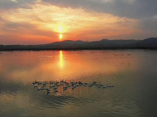 黄陂湖湿地