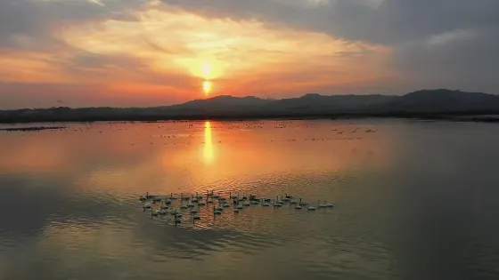 黃陂湖濕地