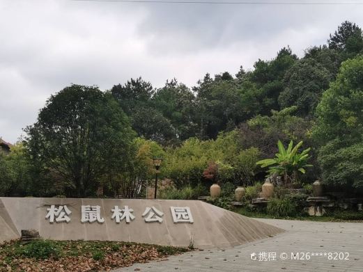 松鼠林公园