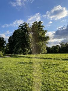 海德公园-伦敦-YoYo_4U8E3U0C