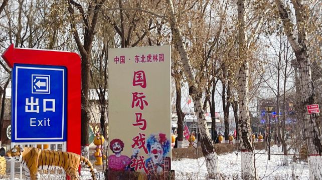 黑龙江虎林园国际马戏城
