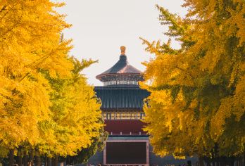 天坛公园+颐和园+圆明园一日活动【可选上门接◆可升级私家小团】【[服务标准化]️畅游全天3大5A级景点，景点门票全含无需您预约，无购物无自费，真正的纯净之旅。】