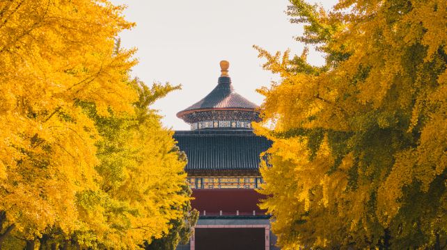 4-Day Beijing Tour· The Palace Museum | Temple of Heaven |  Summer Palace | Mutianyu Great Wall