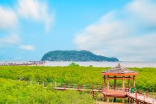 海陵岛红树林国家湿地公园-阳江
