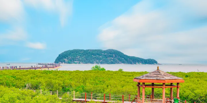 海陵島紅樹林國家濕地公園