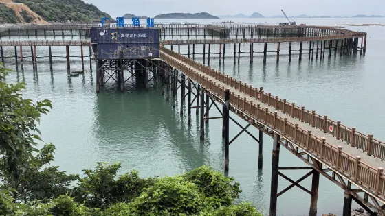 雞籠頭