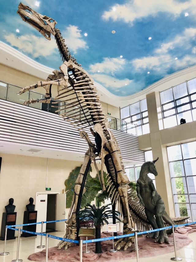 济南山东省地质博物馆攻略,济南山东省地质博物馆门票/游玩攻略/地址