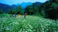 柴埠溪大峡谷-五峰-C-IMAGE