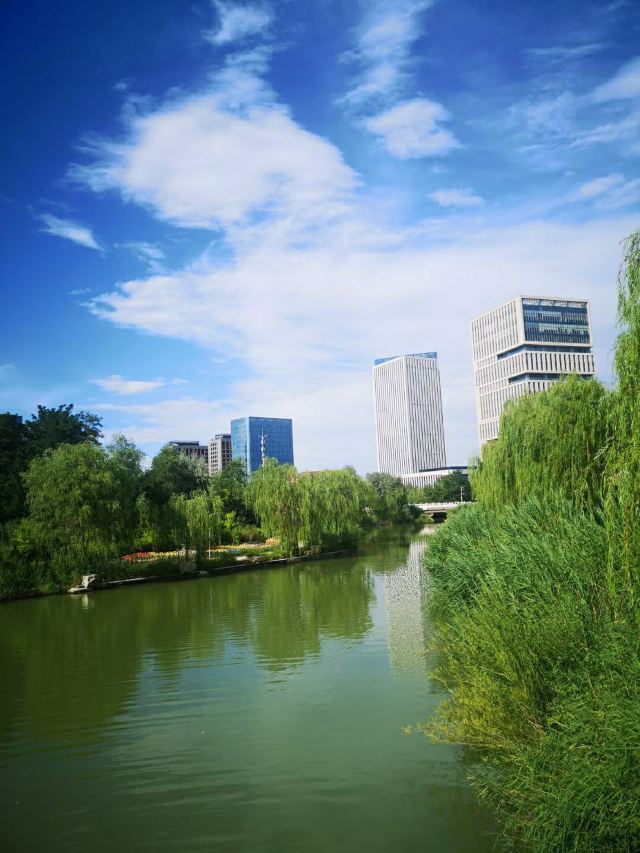 水上公园旅行图片 8