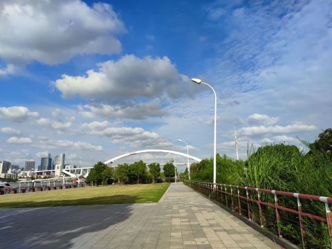 后滩公园旅游图片