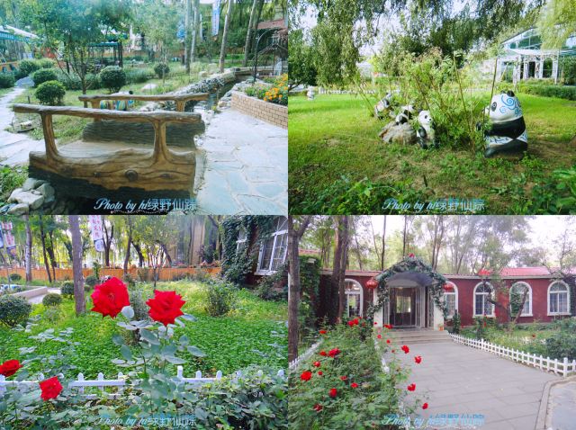 喜园婚礼文化主题公园旅行图片 5