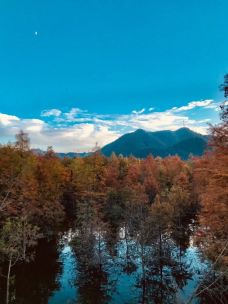 水墨汀溪风景区-泾县-颀小姐家的刘伯一