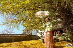 建德游记图片] 秋意浓|去建德，登江南悬空寺，赏银杏之王，看一出好戏