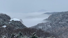 蒙阴游记图片] 气温骤降、冷空气来袭 ，我在蒙山等你看雾凇和冬雪！