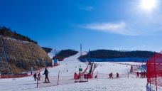 张家口-YoYo_6V4R0C7O