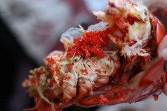 新斯科舍省游记图片] 龙虾随便吃！枫叶美哭！这里你必须知道！