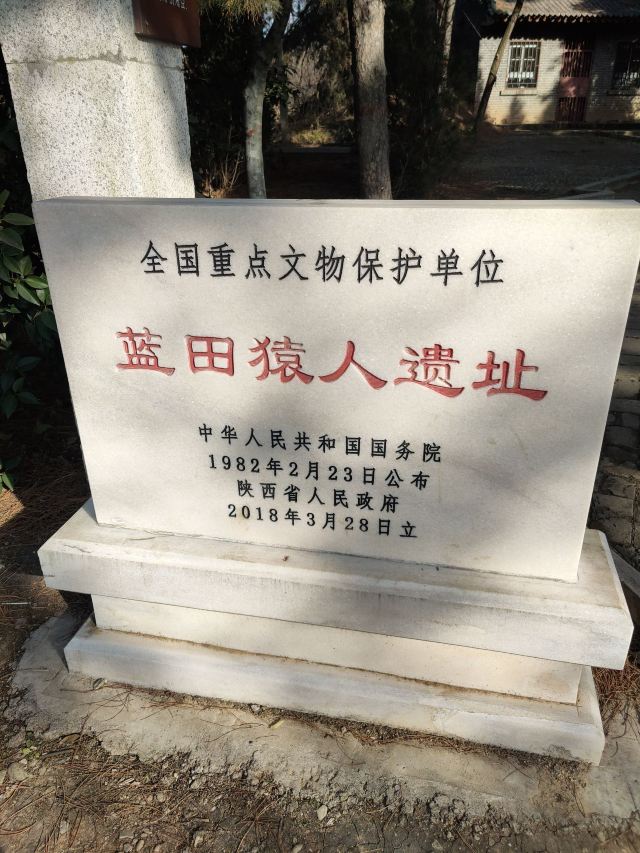 蓝田猿人遗址旅行图片 1