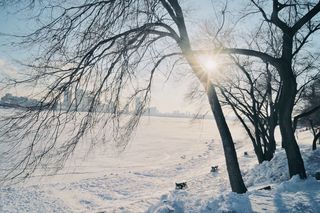 抓住2020的尾巴，以哈尔滨的纯白做结语