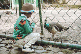 五一去哪玩？安吉亲子旅游胜地，是动物园也是游乐园，还能乘坐欧式复古小火车