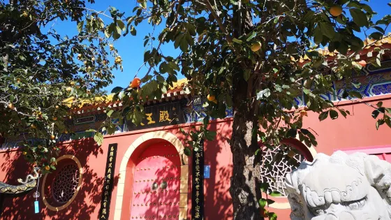 禪林寺風景區