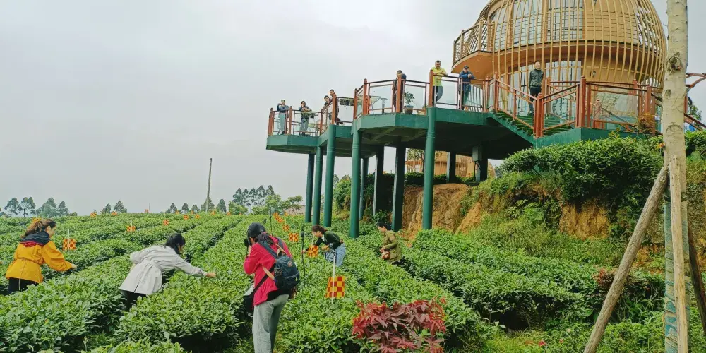 永安旅遊
