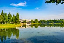 升仙湖公园景点图片