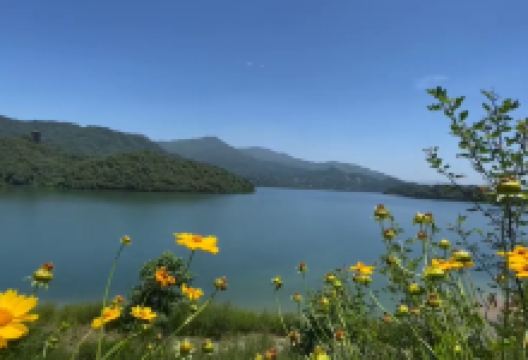 酒埠江国家地质公园景点图片