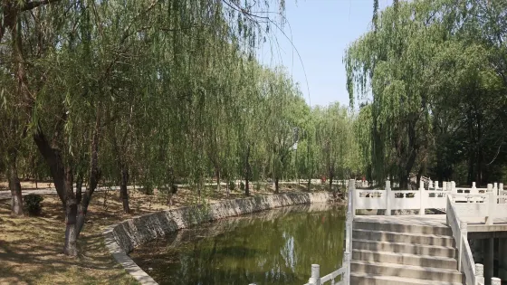 夏荷公園