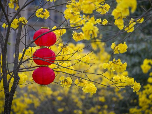芙蓉山国家矿山公园